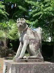 簗瀬　稲荷神社の狛犬