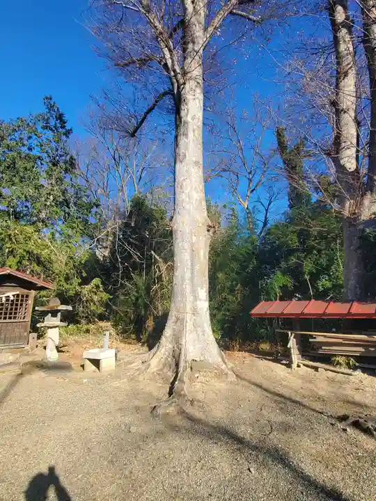 細井神社(群馬県)
