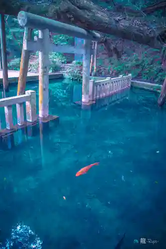 鹿島神宮(茨城県)