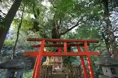 峯寺の鳥居
