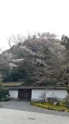 南禅寺のその他建物