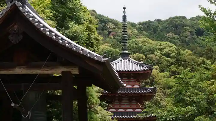 三室戸寺の塔