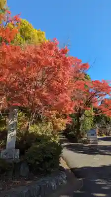 曼殊院門跡(京都府)
