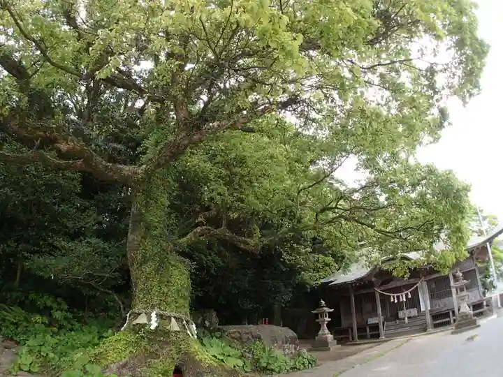立磐神社の自然