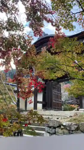 二尊院(京都府)