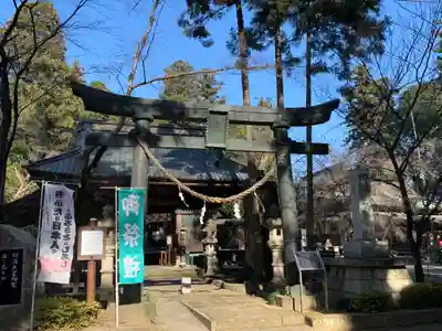 雄琴神社の鳥居