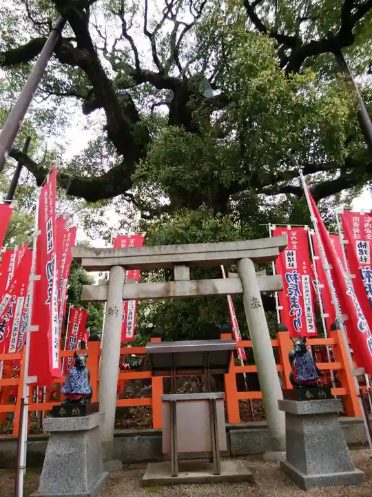 楠珺社(住吉大社末社)(大阪府)