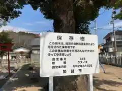 大歳神社(兵庫県)