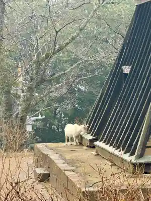 楽法寺(雨引観音)(茨城県)