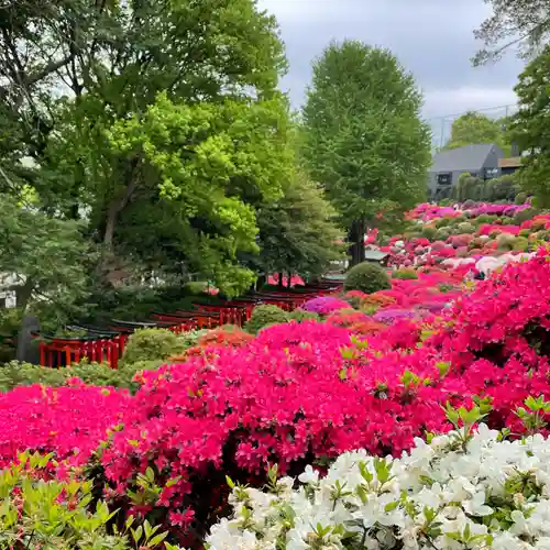 根津神社の自然