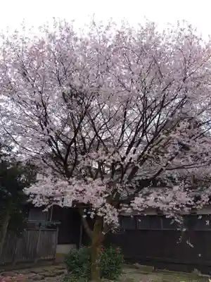 城福寺(福井県)
