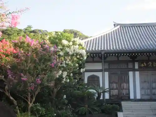 長谷寺(神奈川県)