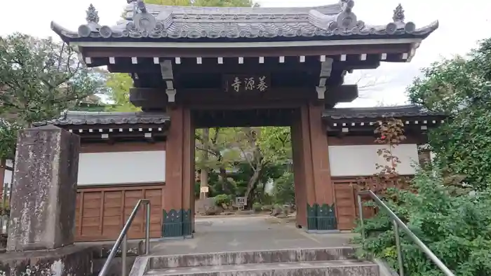 養源寺の山門