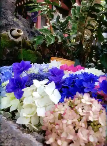 本郷氷川神社(東京都)