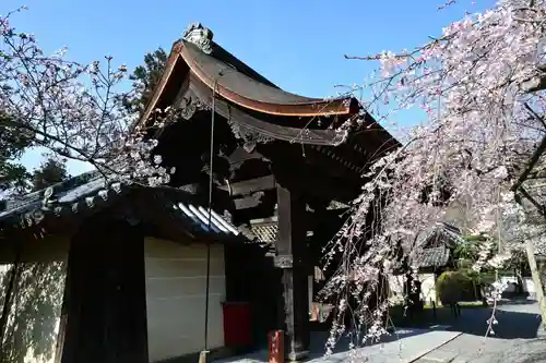 毘沙門堂門跡(京都府)