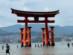 厳島神社(広島県)