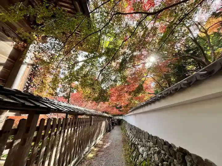 鍬山神社(京都府)