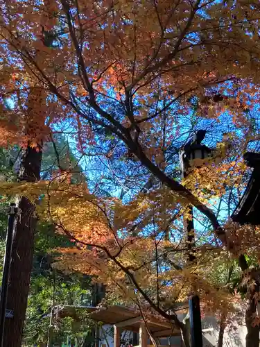 平塚八幡宮(神奈川県)