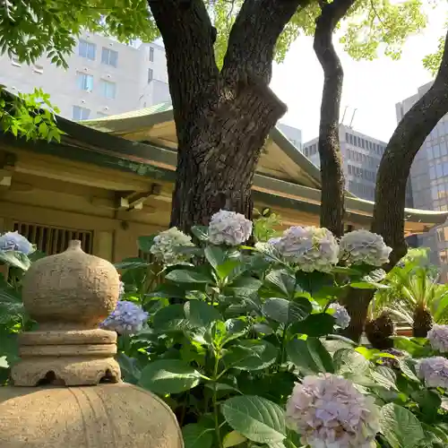 坐摩神社の自然