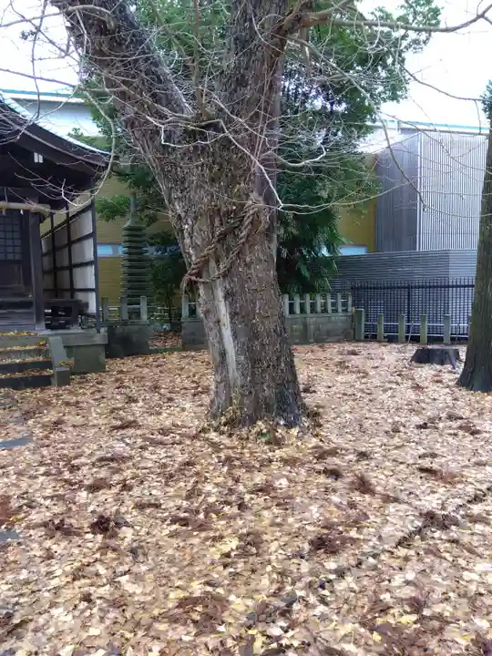白山神社(福井県)