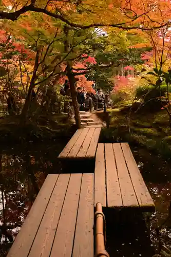 天授庵(京都府)