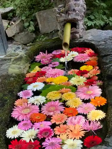 柳津虚空蔵尊 寳性院の手水舎