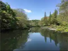 井の頭弁財天（大盛寺）の周辺