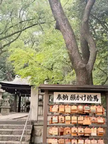湊川神社(兵庫県)