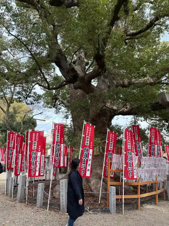 住吉大社(大阪府)