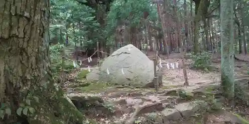 白鬚神社(滋賀県)