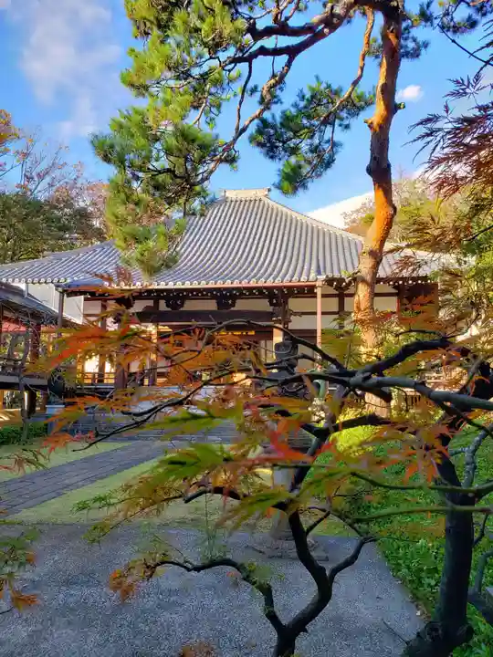 妙法寺の本殿・本堂