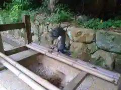 熊野三所神社の手水