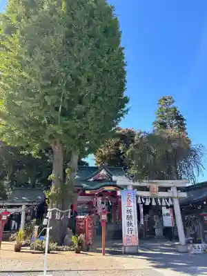 川越八幡宮(埼玉県)
