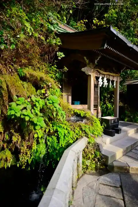 銭洗弁財天宇賀福神社(神奈川県)
