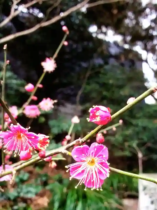 乃木神社(東京都)