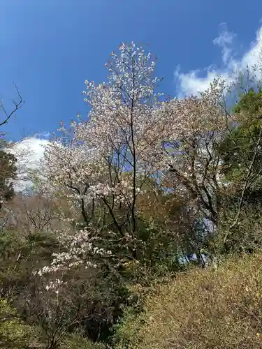 霞神社(東京都)