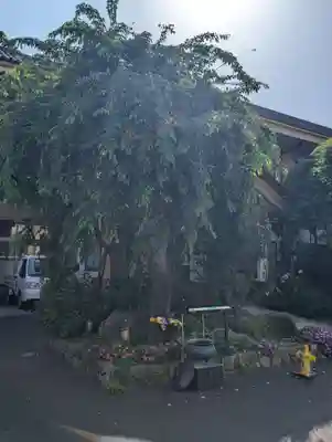 眞性寺(東京都)