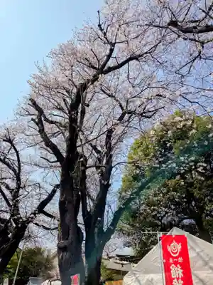 桜森稲荷神社(神奈川県)