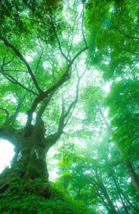 熊野皇大神社(長野県)