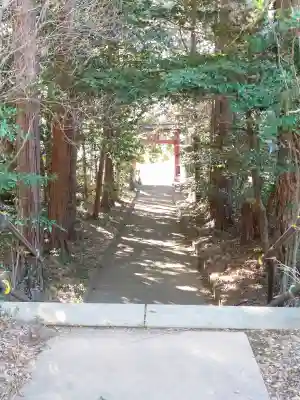八宮神社（廣野）の{uncategorized: "未分類", other: "その他", undefined: "問題あり", building: "その他建物", grave: "お墓", sacred_gate: "鳥居", guardian: "狛犬", statue: "像", buddha: "仏像", history: "歴史", nature: "自然", garden: "庭園", animal: "動物", pagoda: "塔", temizu: "手水舎", mountain_gate: "山門・神門", sanctuary: "本殿・本堂", subordinate: "末社・摂社", art: "芸術", scenery: "景色", jizo: "地蔵", ema: "絵馬", goshuin: "御朱印", omikuji: "おみくじ", items: "授与品その他", amulet: "お守り", goshuincho: "御朱印帳", eats: "食事", festival: "お祭り", votive_dance: "神楽", shichigosan: "七五三参", wedding: "結婚式", experience: "体験その他", initially: "初詣", around: "周辺", anti_infection: "感染症対策"}