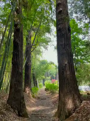 青山神社の周辺