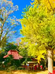 厳島神社の本殿