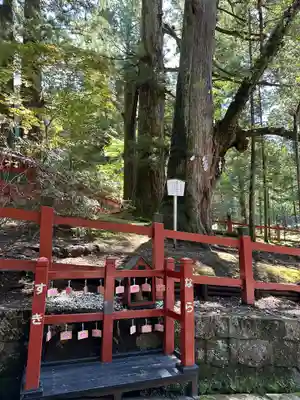 日光二荒山神社(栃木県)