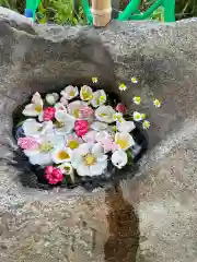 岡部春日神社～👹鬼門よけの🌺花咲く🌺やしろ～(福島県)