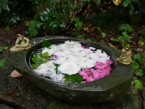 かっぱの寺 栖足寺の手水舎