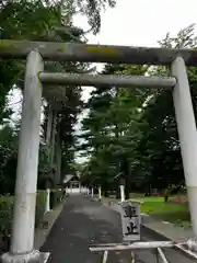 富良野神社の鳥居