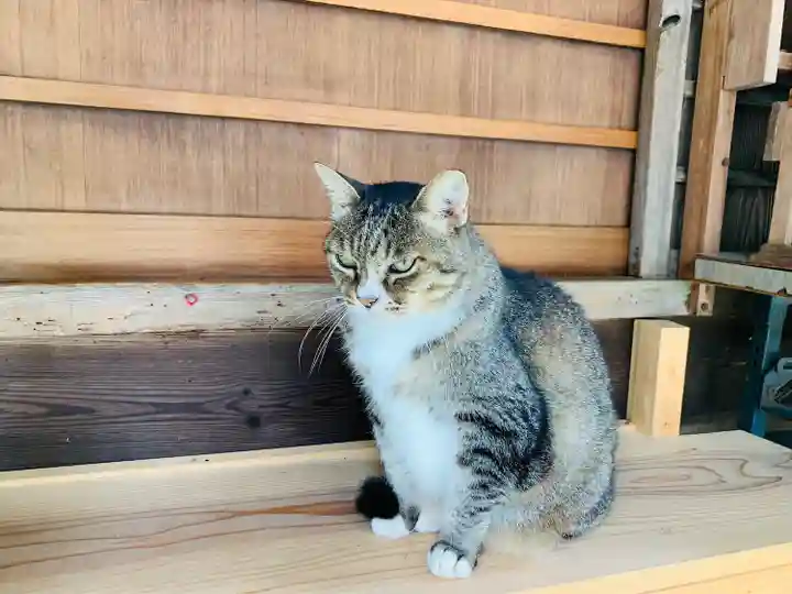 縣主神社の動物