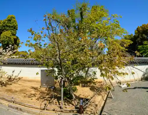 仁和寺(京都府)