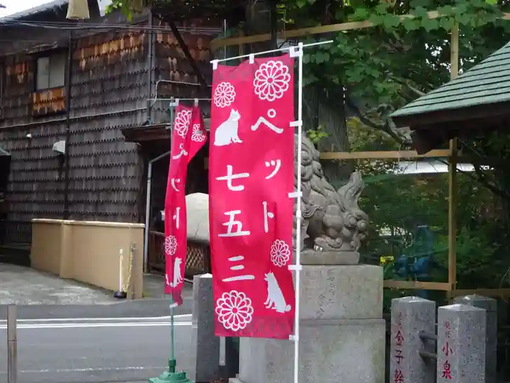 菊名神社の七五三参