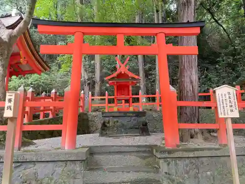 春日大社 若宮（春日若宮）(奈良県)